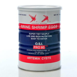 Brine Shrimp Eggs O.S.I