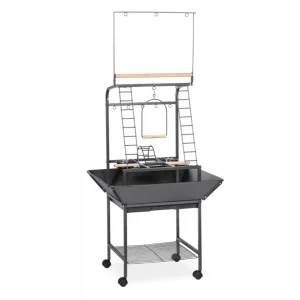 Prevue Pet Products Parrot PlaystandPrevue Pet Products Parrot Playstand - close up Prevue Pet Products Parrot Playstand