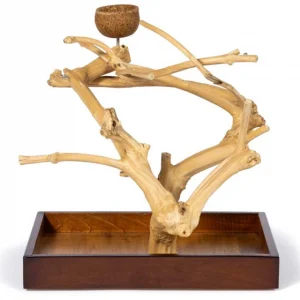 Prevue Pet Products Table Top Coffea Wood Tree