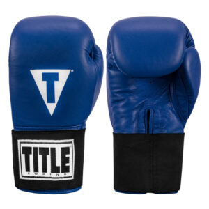 TITLE Masters USA Boxing Competition Gloves - Elastic