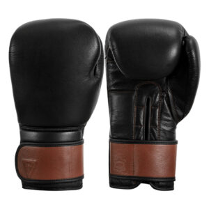 TITLE Boxing Honorary Training Gloves