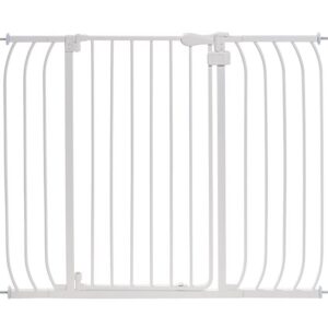 Multi-Use Extra Tall Walk-Thru Gate